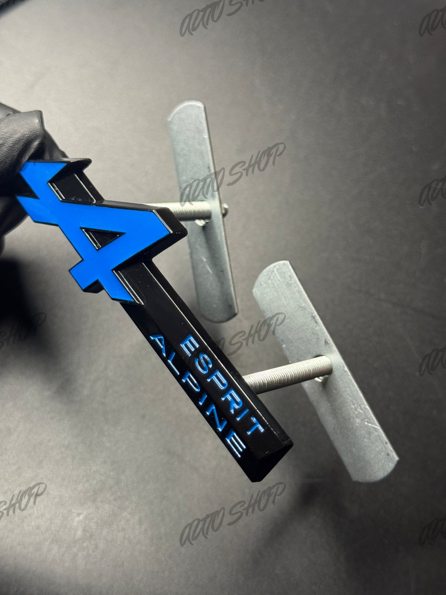 Badge Renault Esprit Alpine Coffre Ailes Calandre - AUTO SHOP
