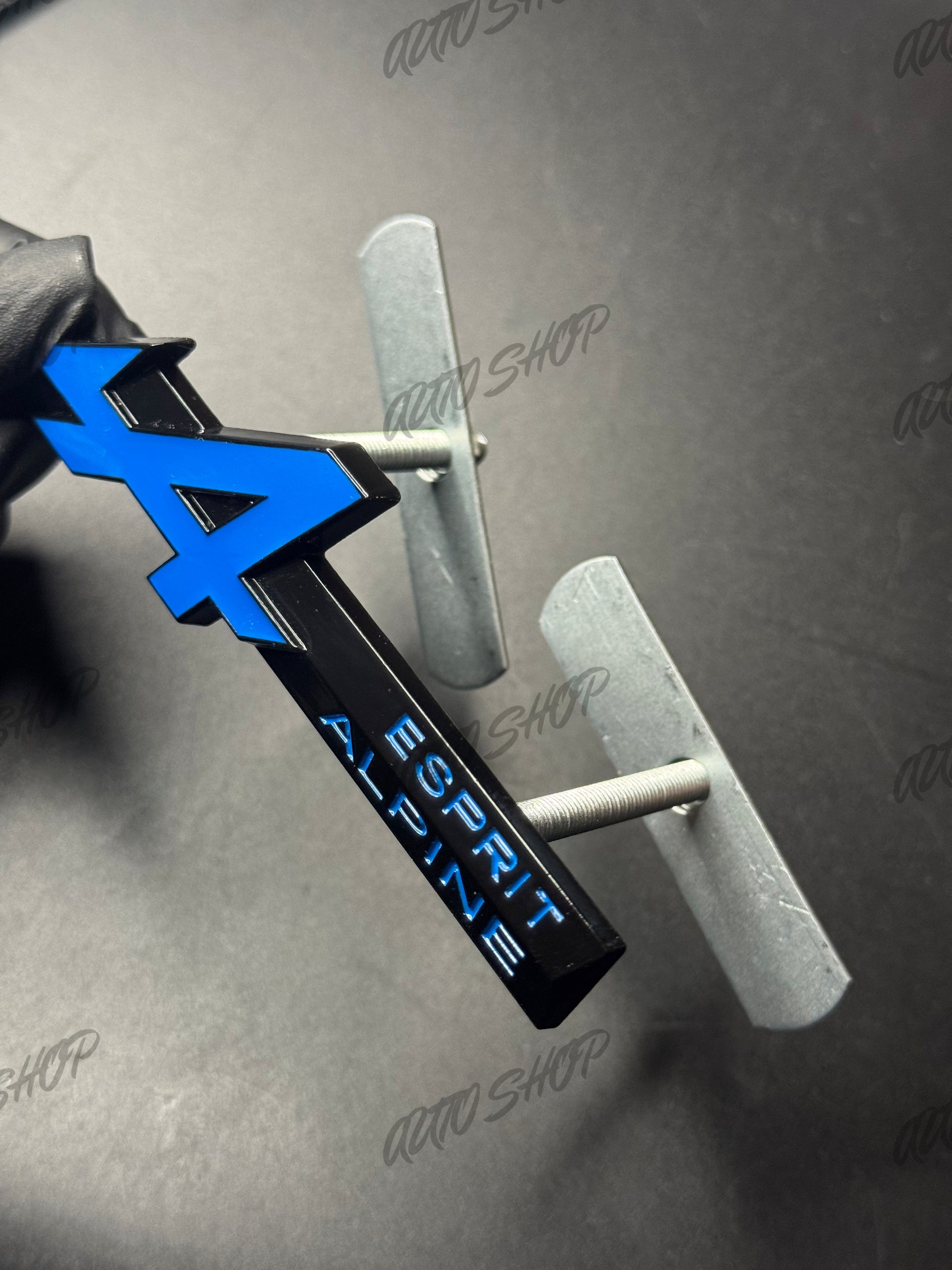 Badge Renault Esprit Alpine Coffre Ailes Calandre - AUTO SHOP