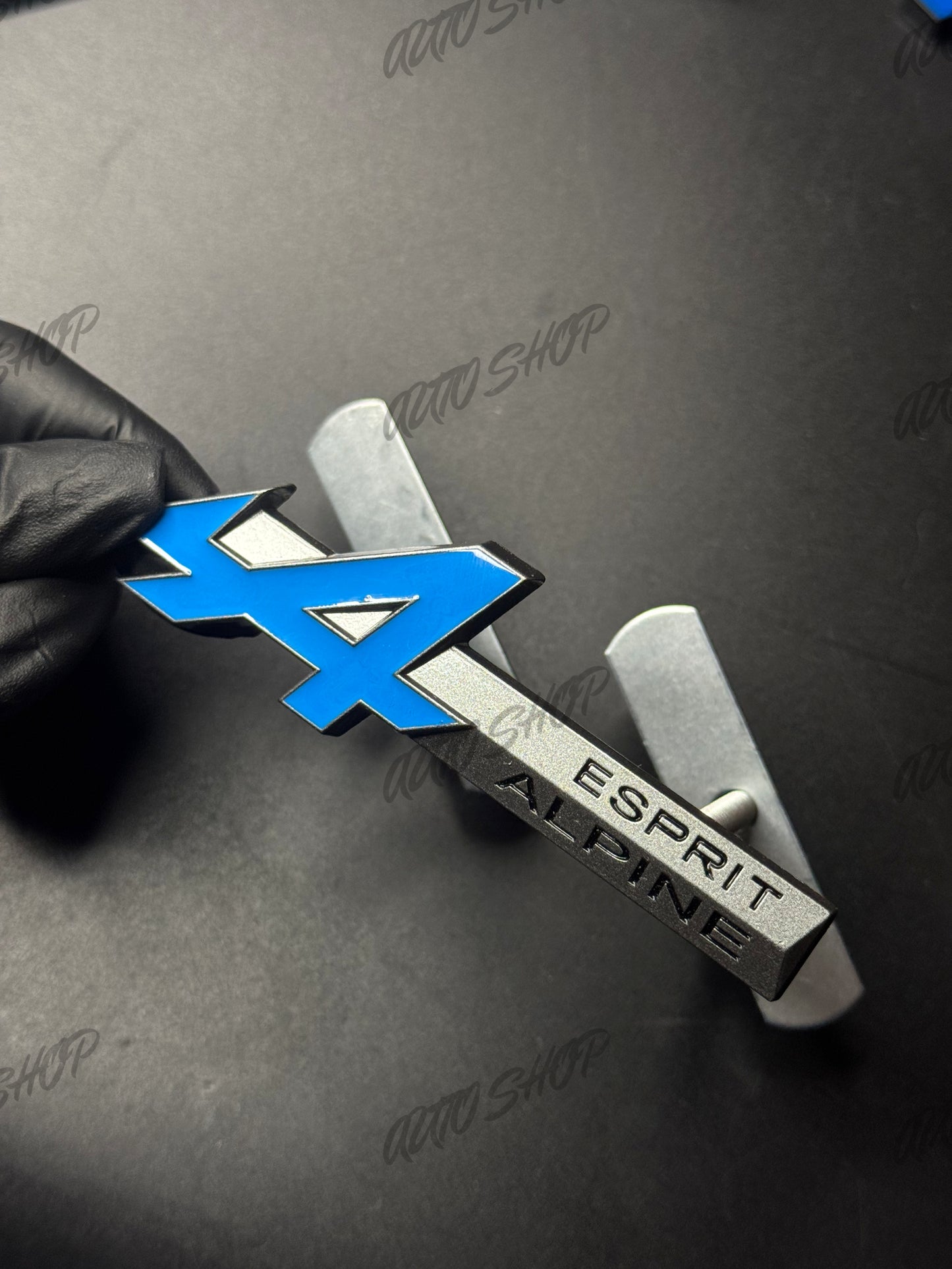 Badge Renault Esprit Alpine Coffre Ailes Calandre - AUTO SHOP